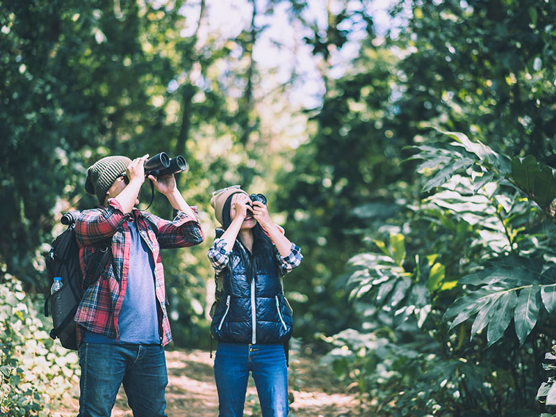 images/restaurant/Bird Watching